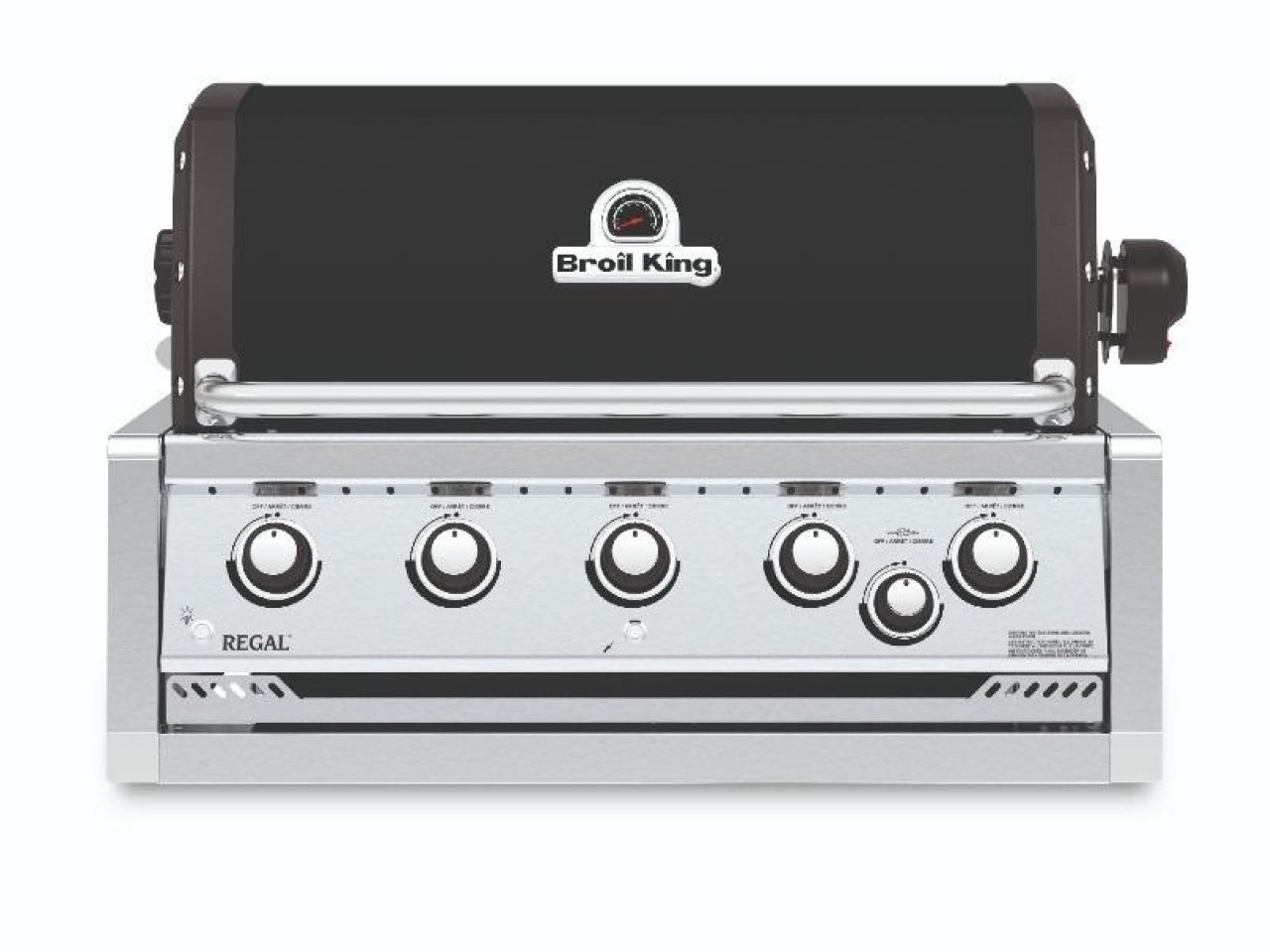 Barbecue da incasso mod. Regal - v1